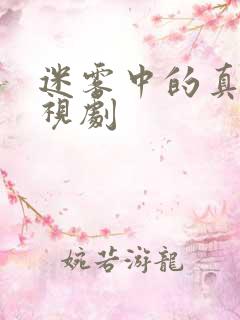 迷雾中的真相电视剧