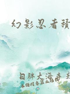 幻影忍者积木龙