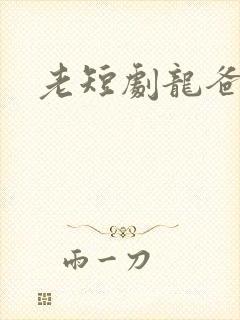 老短剧龙爸风云