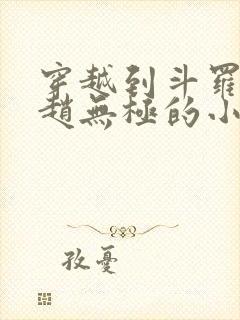 穿越到斗罗成为赵无极的小说