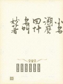 妙名回溯小说原著叫什么名字