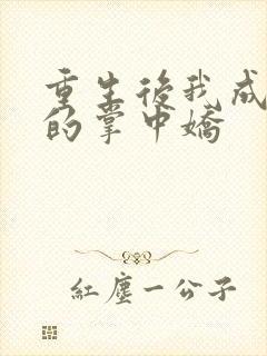 重生后我成权臣的掌中娇