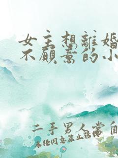 女主想离婚男主不愿意的小说