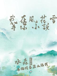 我在风花雪月里等你 小说