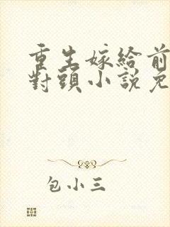 重生嫁给前夫死对头小说免费阅读