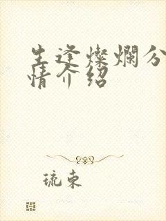 生逢灿烂分集剧情介绍