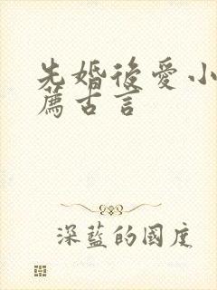 先婚后爱小说推荐古言