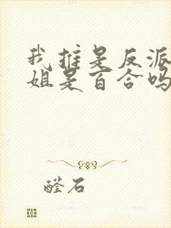 我推是反派大小姐是百合吗