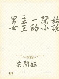 男主一开始讨厌女主的小说