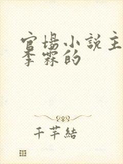 官场小说主角叫李霖的