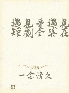 遇见爱遇见幸福短剧全集在线观看