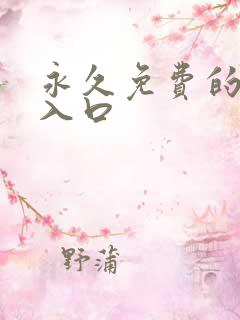 永久免费的网站入口