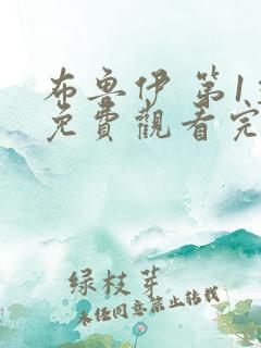 布鲁伊 第1季免费观看完整版在线全集