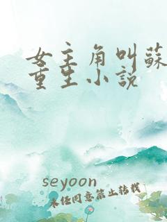 女主角叫苏洛的重生小说