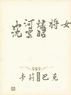 山河烬将女为凰沈云昭