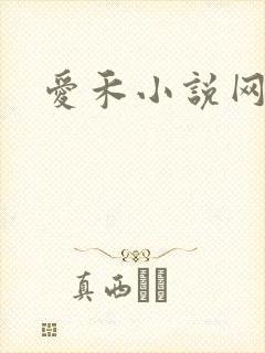 爱禾小说网