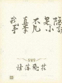 我真不是隐世高手李凡 小说