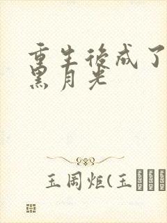 重生后成了奸臣黑月光