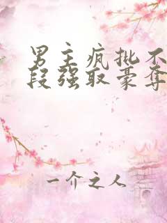 男主疯批不择手段强取豪夺的古言