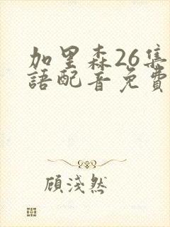 加里森26集国语配音免费观看