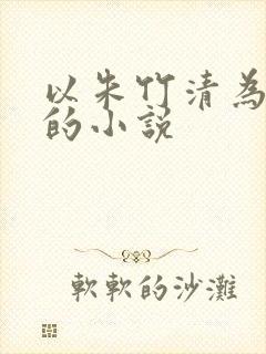 以朱竹清为女主的小说