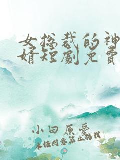 女总裁的神豪女婿短剧免费观看