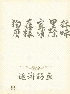 狗在家里拉尿怎么样消除味道