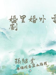 婚里婚外 电视剧