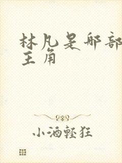 林凡是哪部小说主角