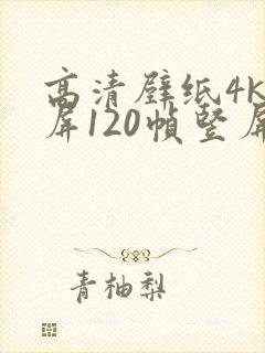 高清壁纸4k全屏120帧竖屏