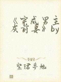 《穿成男主的炮灰前妻》by华阙阙
