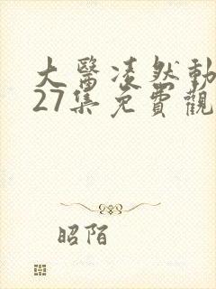 大医凌然动态漫27集免费观看