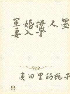 军婚撩人墨少宠妻入骨