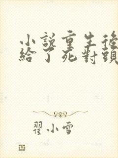 小说重生后我嫁给了死对头完整版