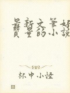 最新文笔好的高质量的小说推荐