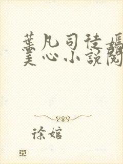 叶凡司徒嫣然林美心小说阅读
