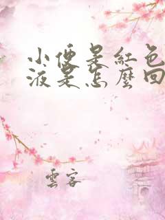 小便是红色的尿液是怎么回事