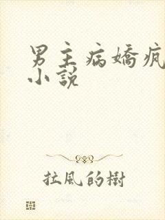 男主病娇疯批的小说