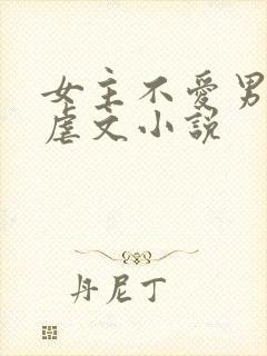 女主不爱男主的虐文小说