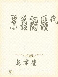 碧瓷沉匪我思存小说阅读