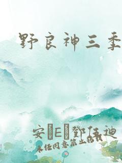 野良神三季