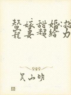 替嫁甜婚:总裁宠妻超给力