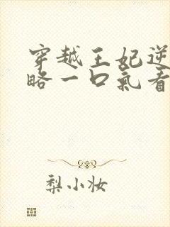 穿越王妃逆袭攻略一口气看完