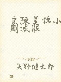 良陈美锦小说未删减版