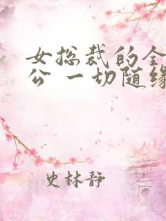 女总裁的全能老公 一切随缘