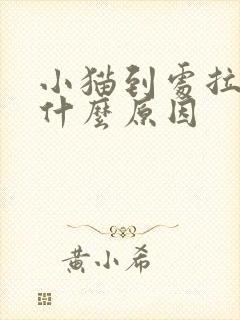 小猫到处拉尿是什么原因