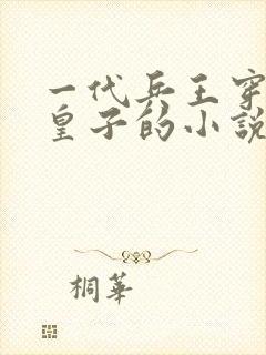 一代兵王穿越九皇子的小说