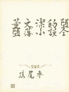 董文洁的堕落与堕落小说全文阅读