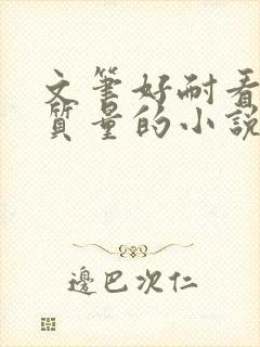 文笔好耐看的高质量的小说推荐