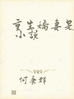 重生娇妻是大佬 小说